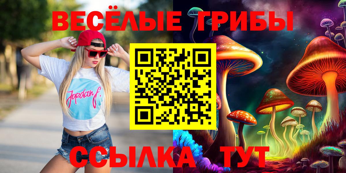 Псилоцибиновые грибы мицелий Гусь-Хрустальный